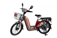Off-road  Electric Motorbike