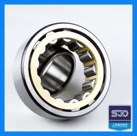 Cylindrical Roller Bearing