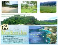 Beach Lands/Properties