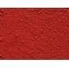 Basella rubra red