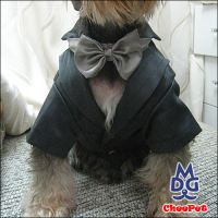 Dog Suit