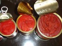 CANNED TOMATO PASTE From South Africa