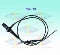 Repair Flexible Endoscope (REPAIR FUJINON EG-250WR5)