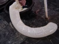 Natural Casing