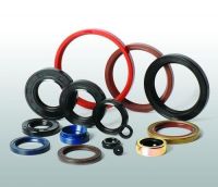 Oil Seals