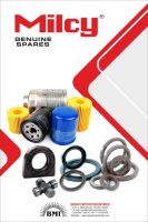 Oil Seals