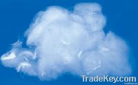 Polyester Staple Fiber