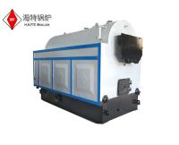 DZG Coal-fired steam boiler