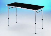 Folding Table