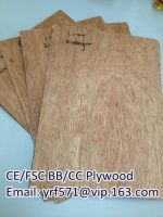 CE/FSC Packing grade-Skype:tianzhen005