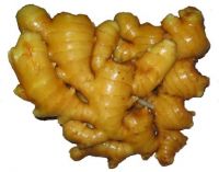 fresh ginger