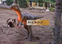 Leaellynasaura animatronic dinosaur Amusement park playground