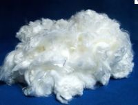 PVA Fiber