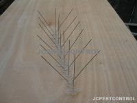 Bird Spikes