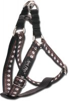 Dog Harnesses