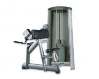 Gym Equipment/Bicep Curl