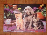 Door Mat