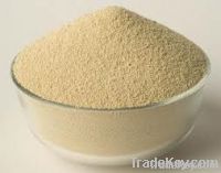 Soybean Meal