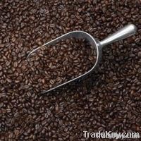 https://cn.tradekey.com/product_view/Arabic-Coffee-3374261.html