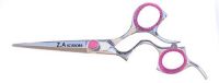 Titanium color barber shears