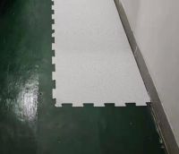 LOCKED ESD TILE From China