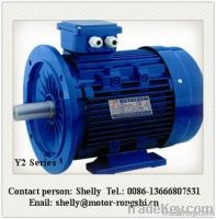 Three Phase Asynchronous Electric Motor Y2 Series