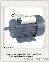 Single Phase Two -value Capacitor Asynchronous Electric Motor YL Serie