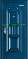 Steel Security Door