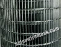 Welded Wire Mesh