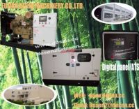 (ATS, CE, ISO, 100KVA, 20KW, 15KW, 10KW, 25KVA)Silent Diesel Generator Set