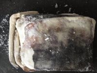 Frozen giant squid fillet skinon