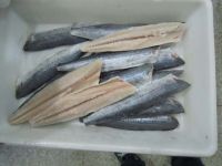 Frozen Spanish Mackerel fillets
