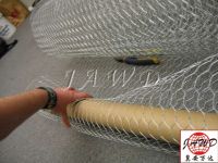 Hexagonal Wire Mesh