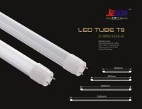 High Quality Economic T8 LED Tube