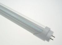 Hot Sale Cheap T8 LED Tubes
