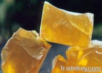 Gum rosin