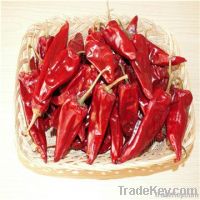 Chilli
