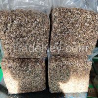 Walnut kernels, walnut in shell