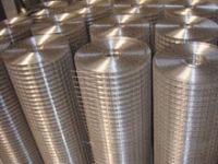 stainless steel welded wire mesh