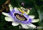 Passion flower Extract