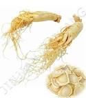 Ginseng root extract