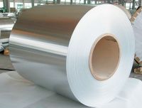 Stainless Steel Coil