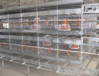 cage for growing broiler