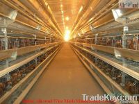 poultry farming equipment