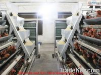 equipments for poultry farms