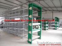 poultry cage