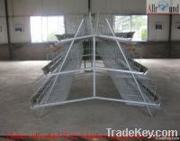 cages for chickens
