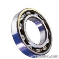 6000ZZ China bearing