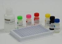 HIV Test Kits