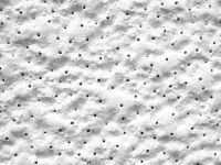Acoustic Ceiling Board